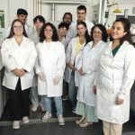 Estágio de Verão OpenLab